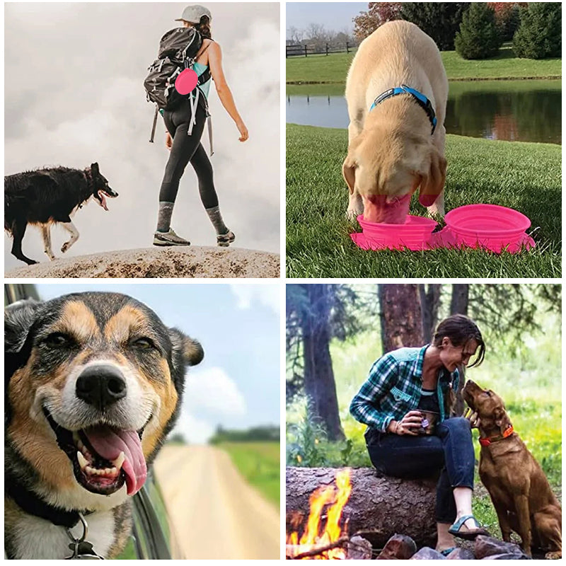 BowLift | Pawfun Travel Dog Dinner Set