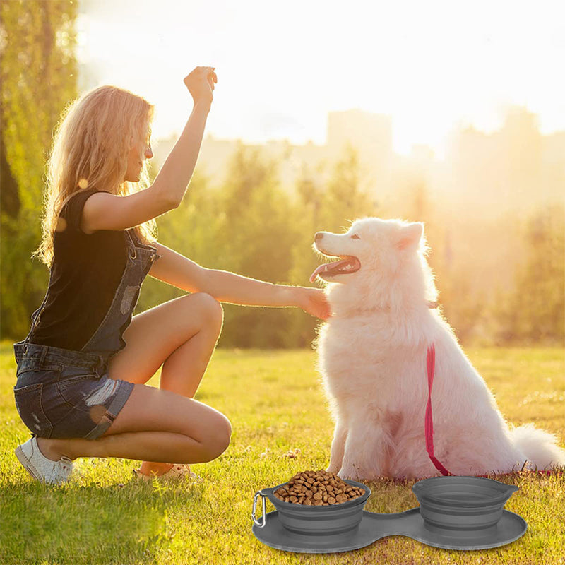 BowLift | Pawfun Travel Dog Dinner Set