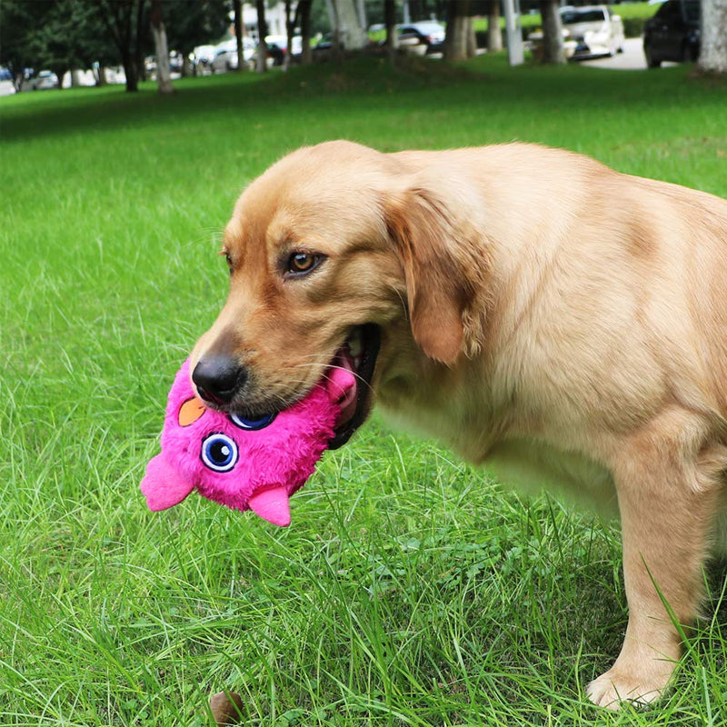 BowLift | Interactive Dog Toy