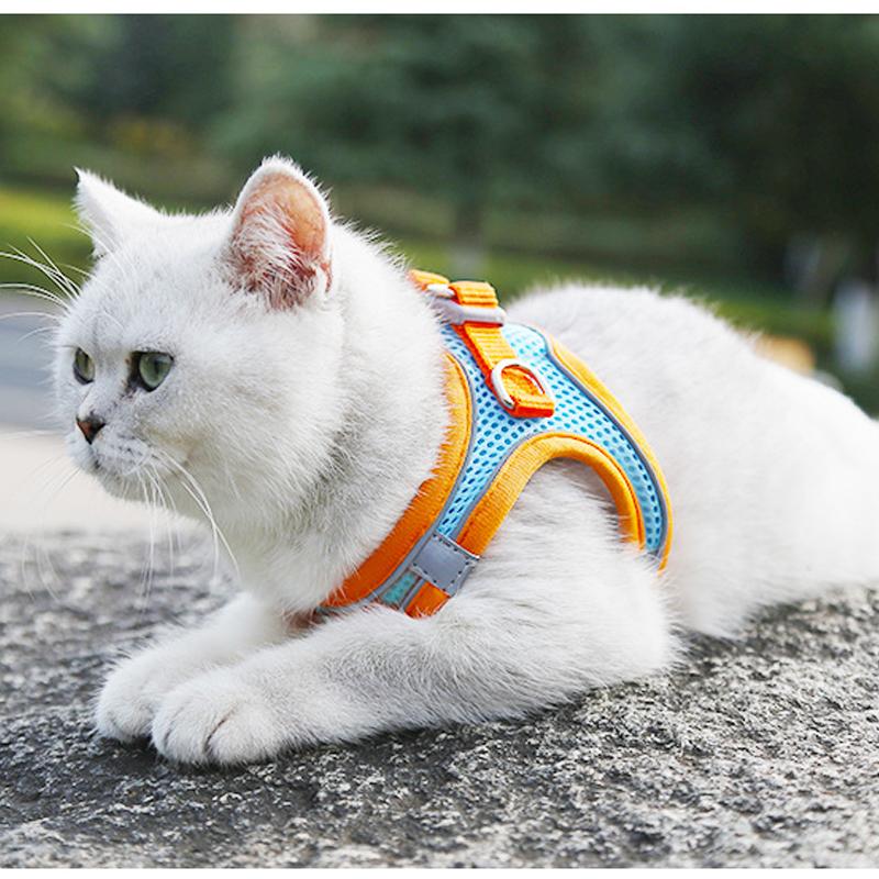 BowLift | Pet Chest Harness