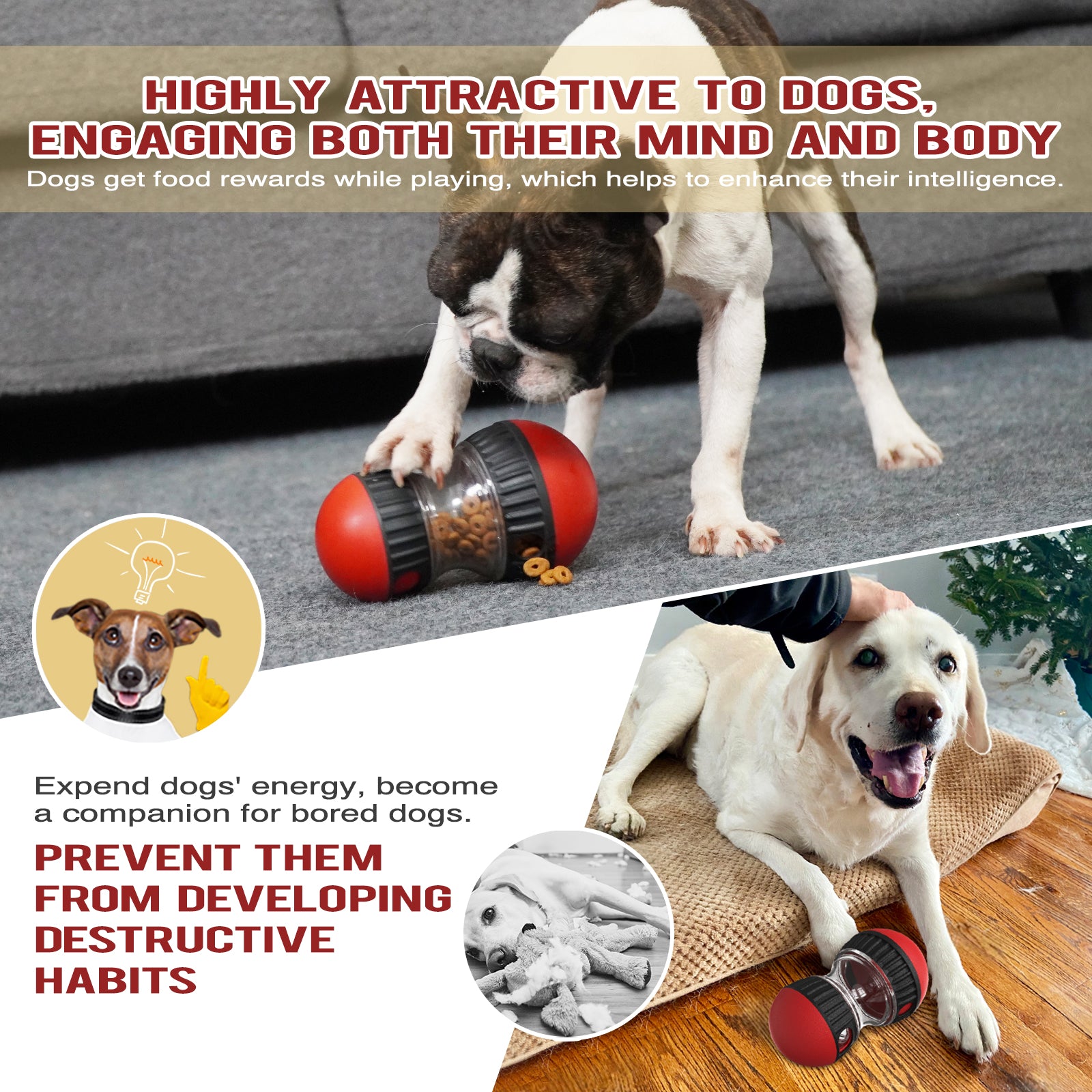 Rolling Feeder Ball – Training & Slow Feeding Toy for Dogs