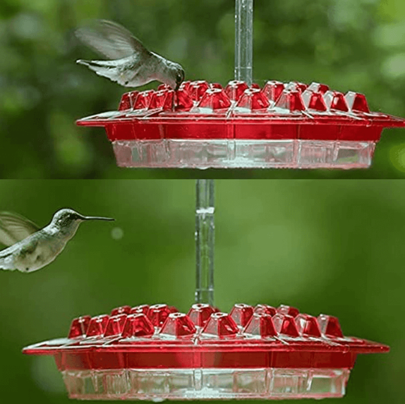 BowLift | Ant Proof Hummingbird Feeder | 30 Feeding Ports, UV Resistant & Ideal for Outdoor Bird Watching