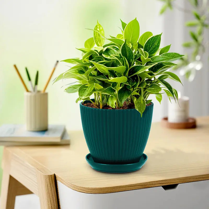 BowLift | Flower pot with groove structure and saucer – Sturdy plastic pot for plants