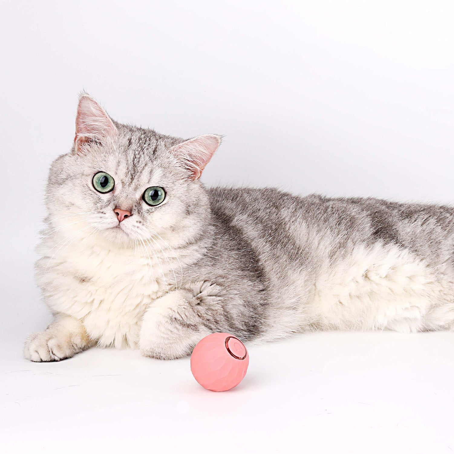 BowLift | Cat Toy | Interactive Self-Rolling Ball