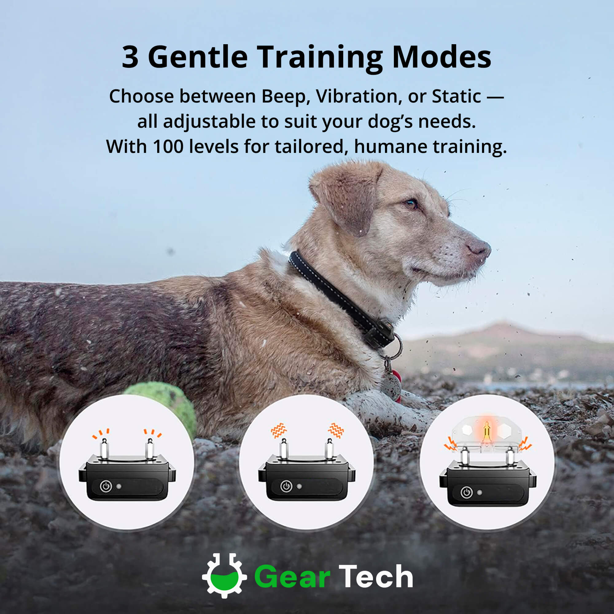 BowLift | 1000m Waterproof Dog Training Collar | Rechargeable, Remote Control & Adjustable for Small, Medium, and Large Dogs