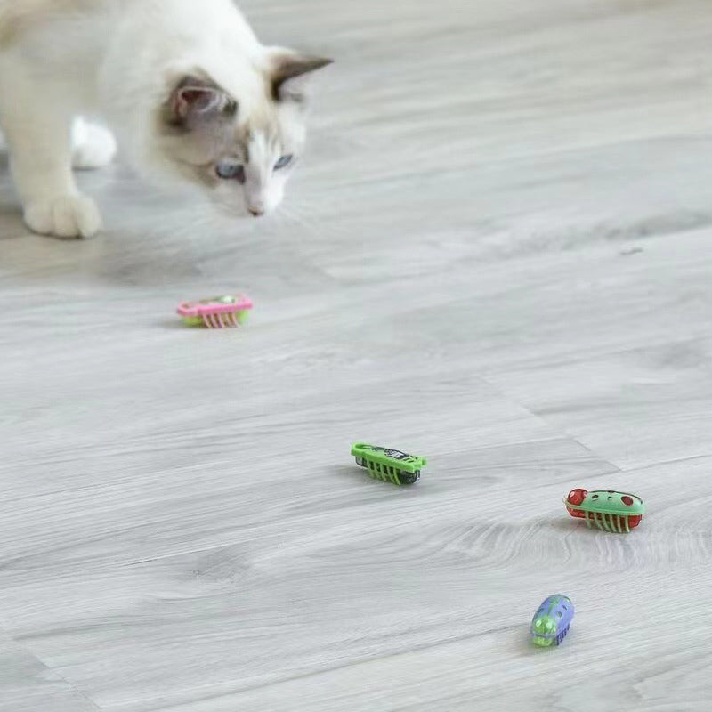 BowLift | Pet Electric Insect Toy