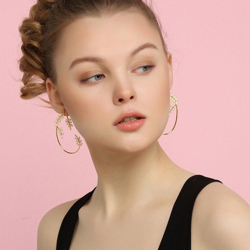 BowLift | Shiny Zircon Earrings