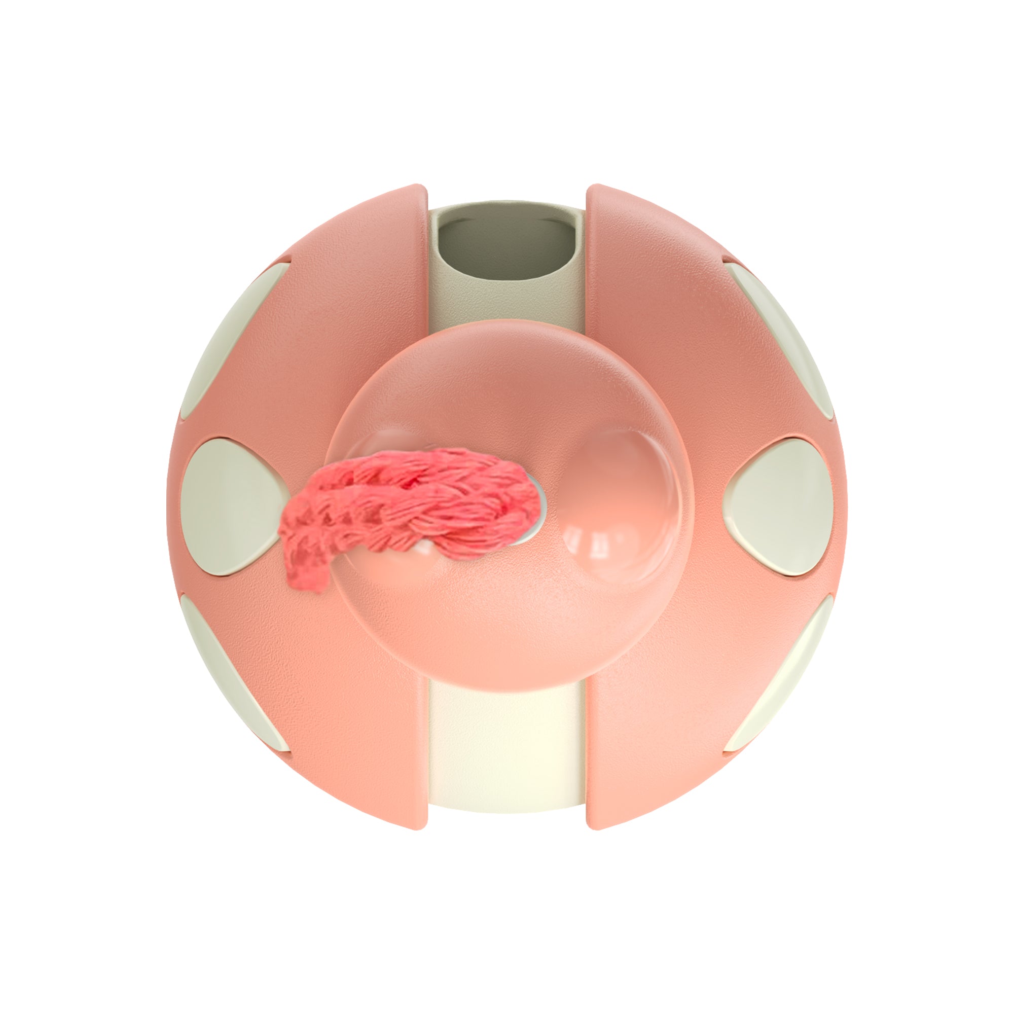 Beetle Wobble Toy – Balance & Interactive Play for Cats