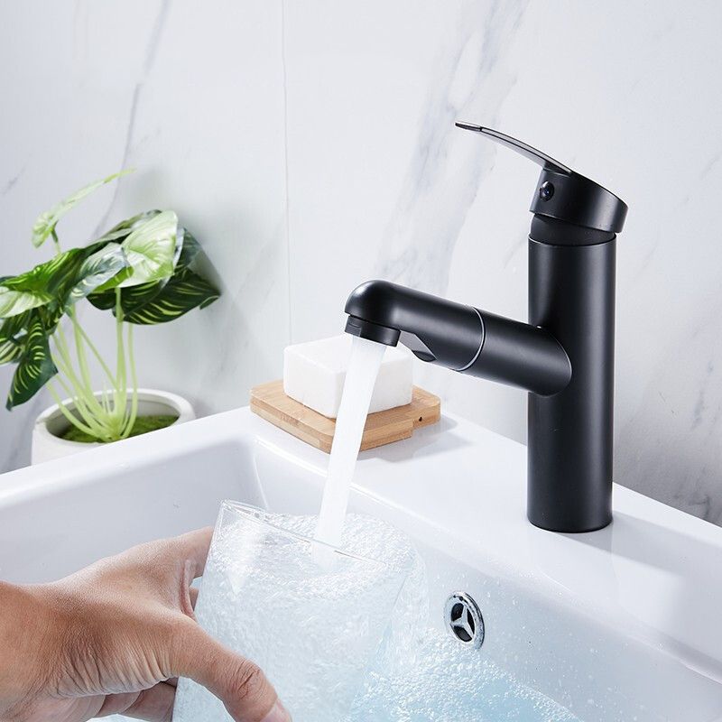 BowLift | Contemporary Style Faucets Single Handle Swivel Spout Faucets
