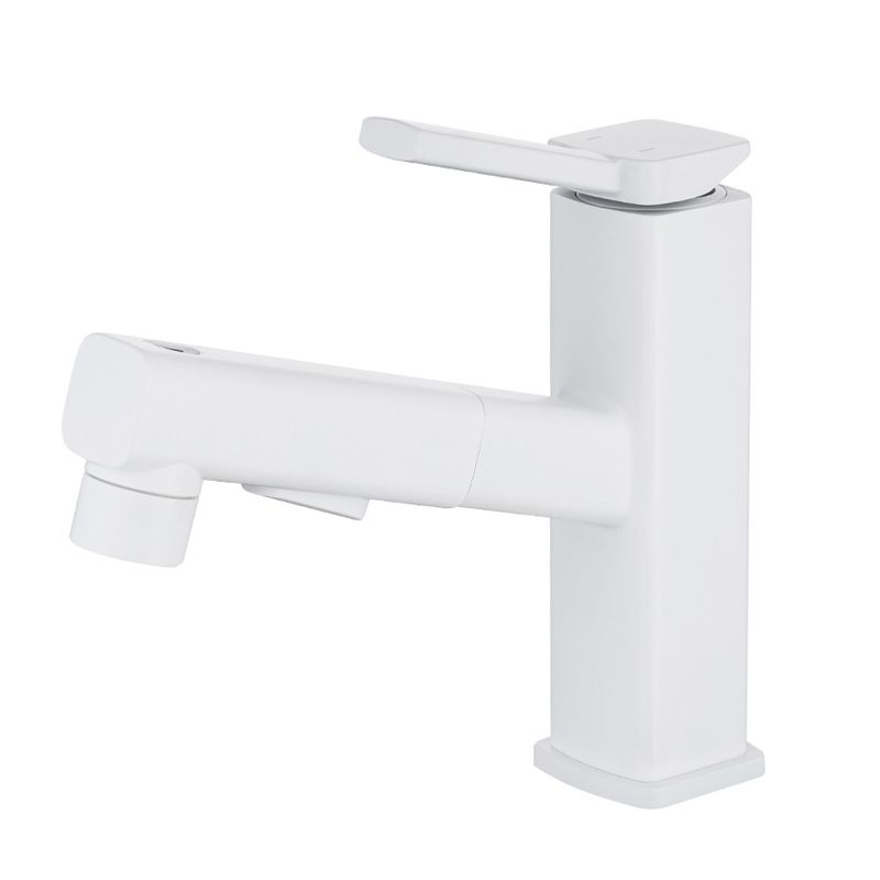 BowLift | Lever Handle Faucet Pull-Out Basin Faucet with Swivel Spout