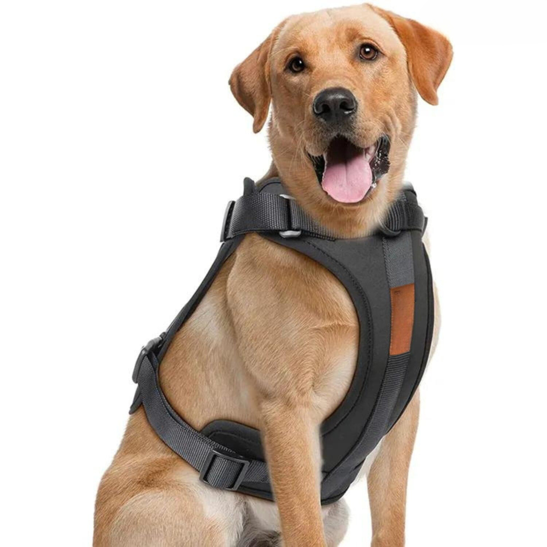 BowLift | ComfyPaws Dog Harness Walking Set with Leash and Poop Bag Holder