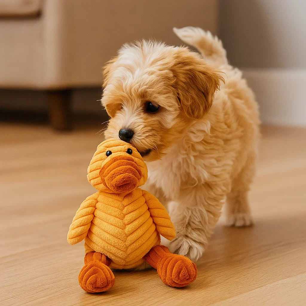 BowLift | Dog Toy Plush Squeaky Chew Animal