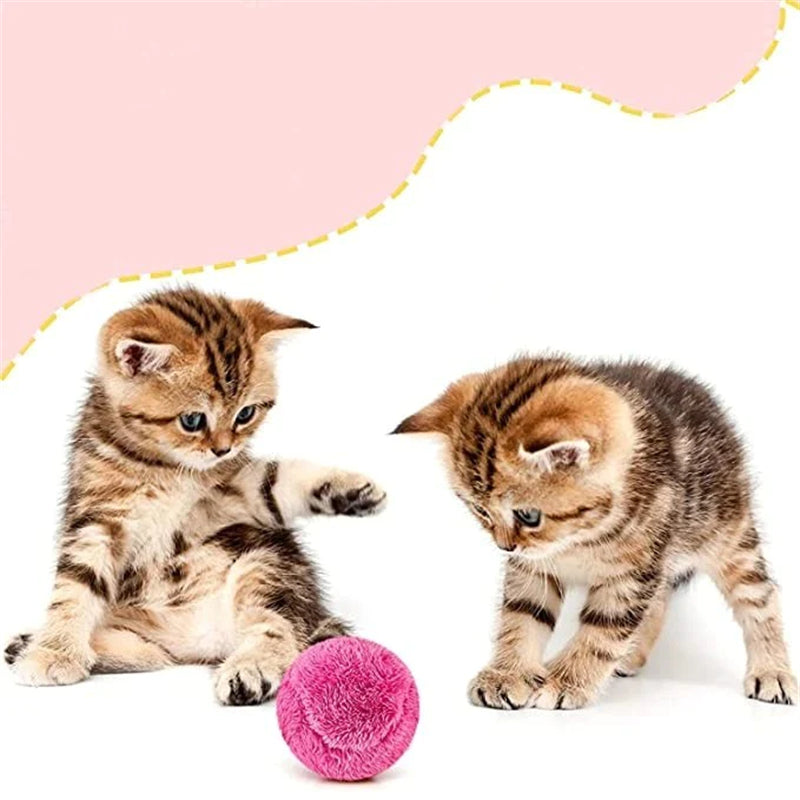 BowLift | Pet Electric Ball Toy with Plush Cover(4 Colors Included)