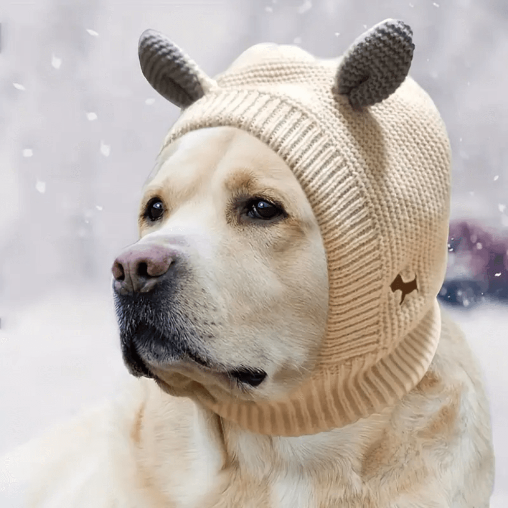 Calm & Cozy Dog Earmuffs