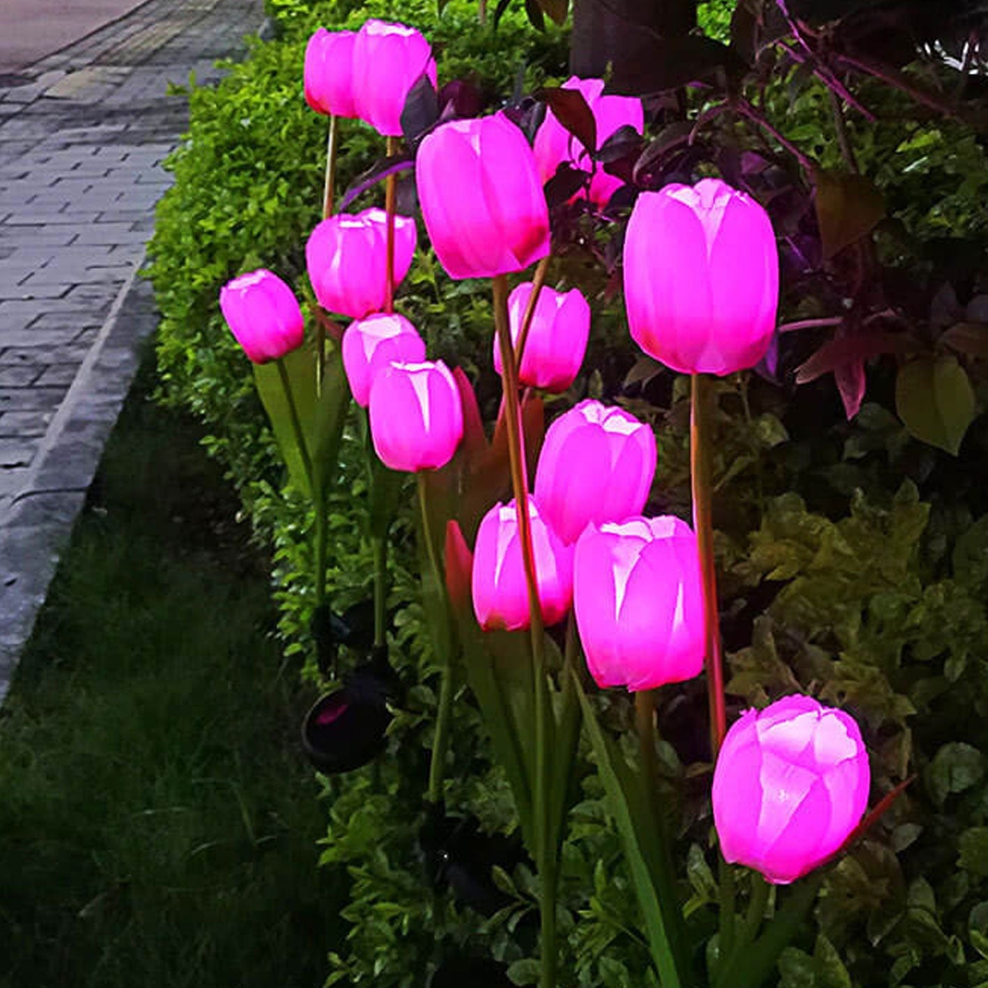 BowLift | Solar Tulip Lawn Light Outdoor Garden LED Tulip Flower Light Ground Stake Landscape Light