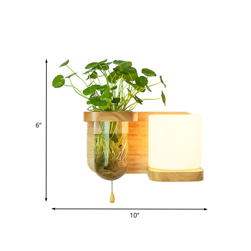 BowLift | Wood Globe/Cylinder Wall Sconce Nordic Cream Glass 1 Light Bedroom Wall Lamp with Plant Pot and Pull Chain