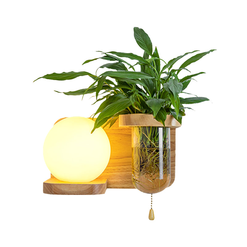 BowLift | Wood Globe/Cylinder Wall Sconce Nordic Cream Glass 1 Light Bedroom Wall Lamp with Plant Pot and Pull Chain