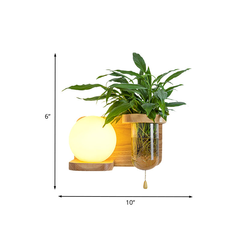 BowLift | Wood Globe/Cylinder Wall Sconce Nordic Cream Glass 1 Light Bedroom Wall Lamp with Plant Pot and Pull Chain