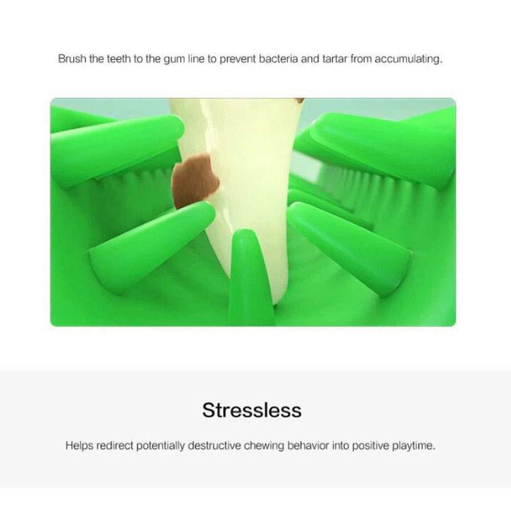 BowLift | Pet Dog Toothbrush