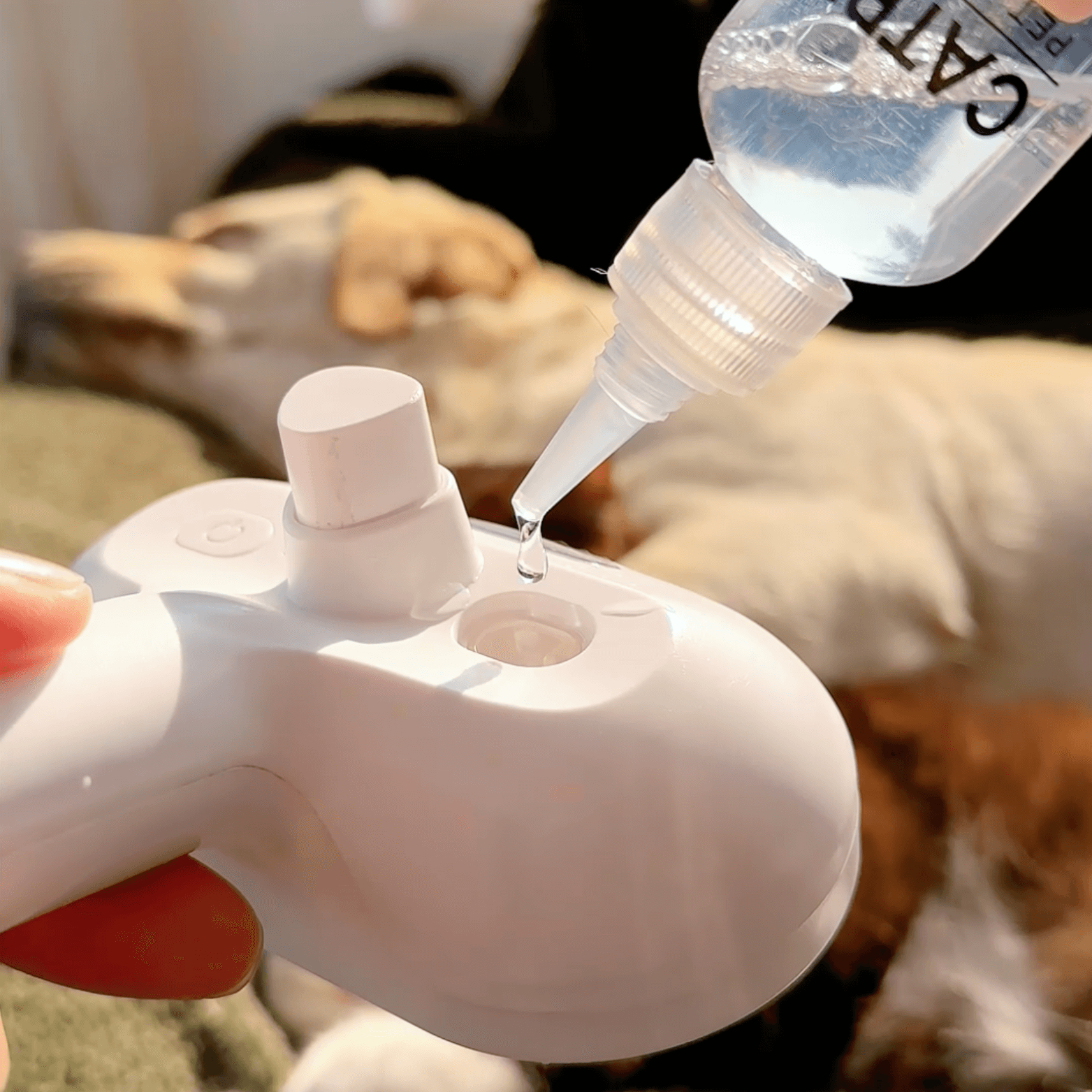 BowLift | DampfVacht Steam Brush – Gentle Care for Every Dog Coat