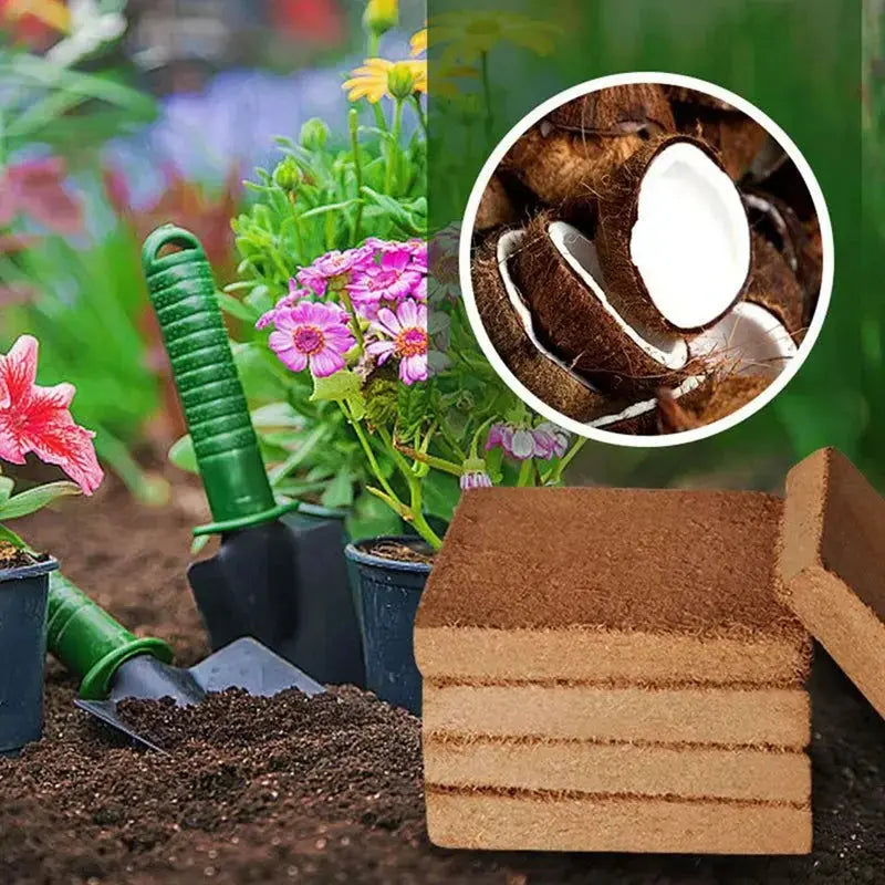 BowLift | | Premium Organic Coconut Soil Brick – Promote Natural Plant Growth