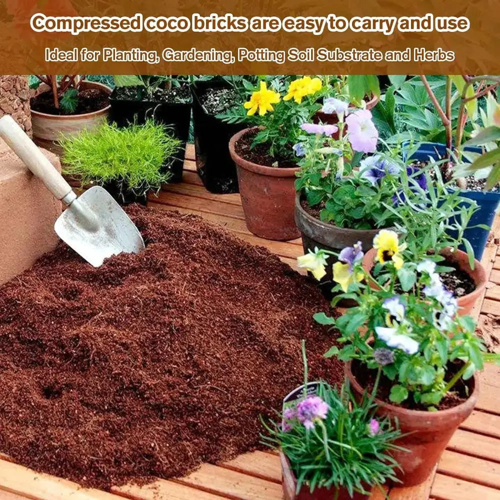 BowLift | Premium Organic Coconut Soil Brick – Promote Natural Plant Growth
