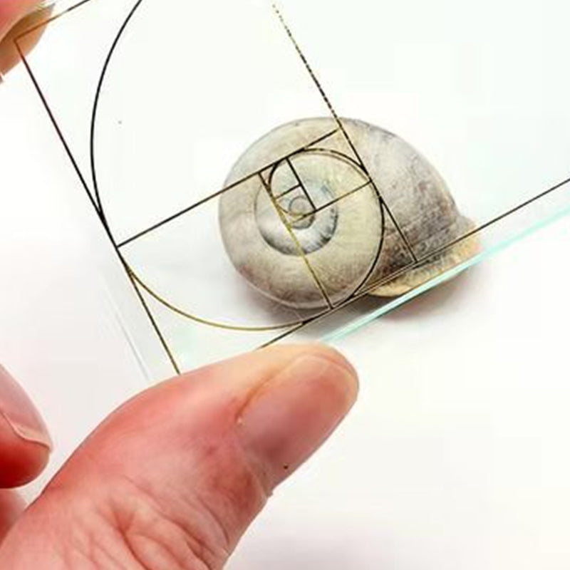 BowLift | Golden Ratio Finder