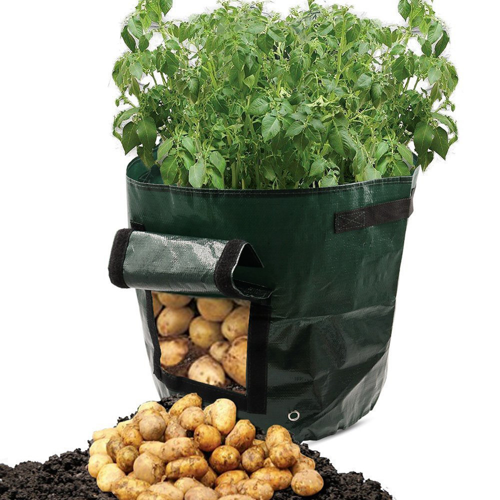 BowLift | Planting bag for potatoes – Reusable and with viewing window