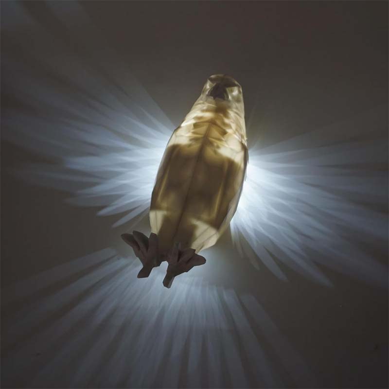 BowLift | Spritz-cast Owl Eagle Night Light