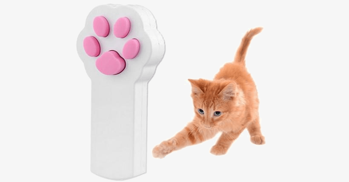 BowLift | Interactive automatic red laser pointer for pets