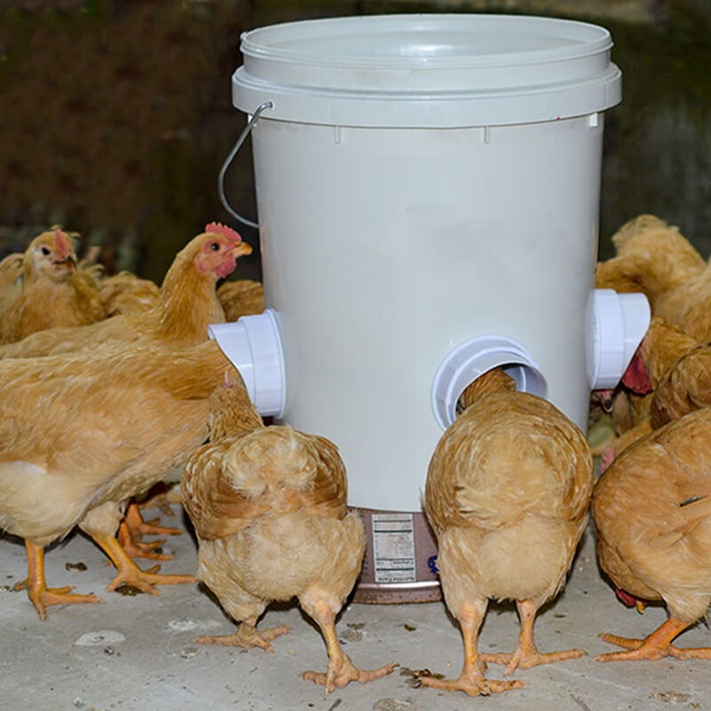BowLift | DIY Chicken Feeder
