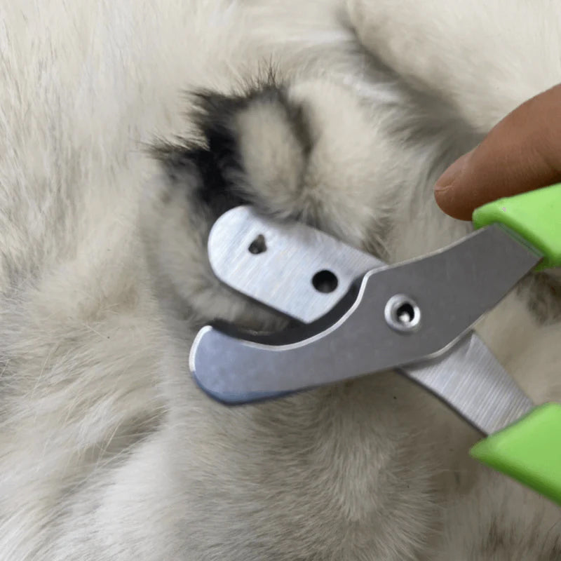 BowLift | Effortless Pet Nail Clipper