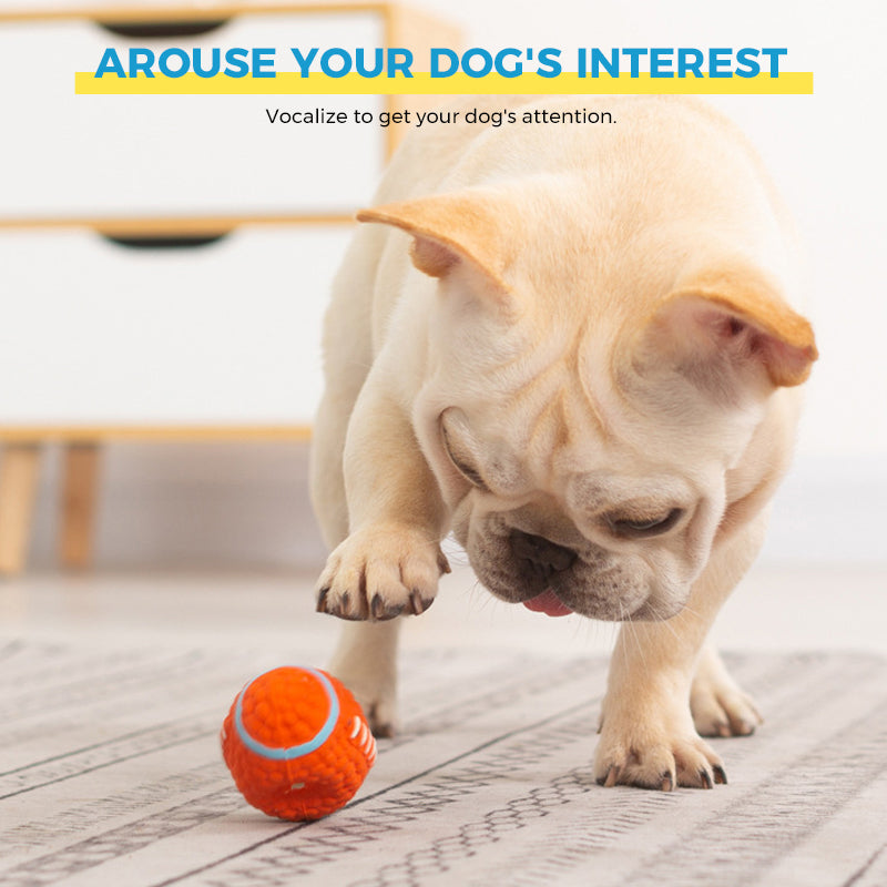 BowLift | Immortal Toy For Aggressive Chewers