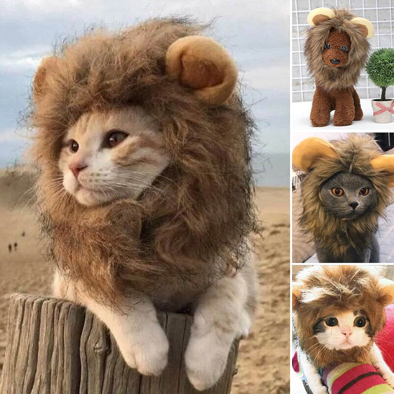 BowLift | Pet Simulation Lion Mane
