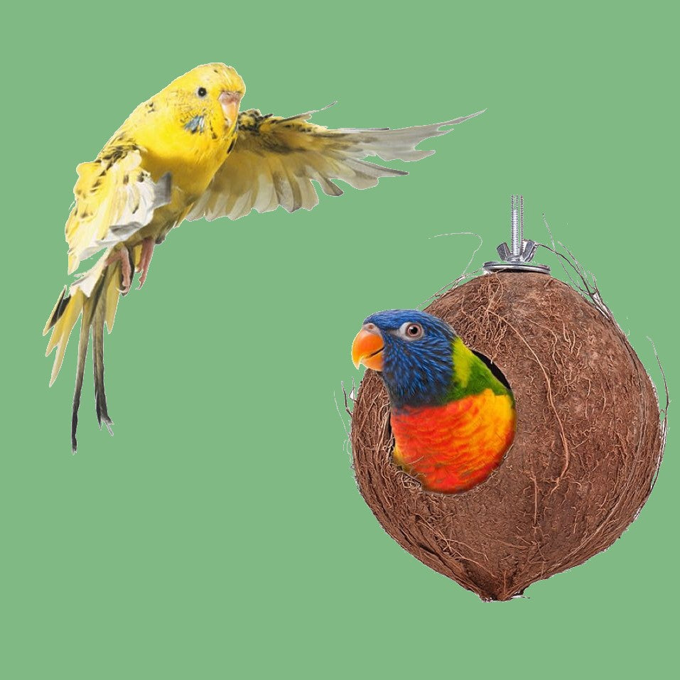 BowLift | Coconut Shell Bird Nest with Wood Ladders, for Parrot, Budgies, Parakeet, Canary, Finch, Hamster, Rat