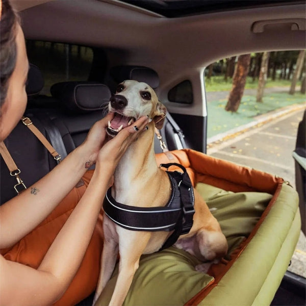 BowLift | Large Deluxe Car Dog Bed | Back Seat Extender & Car Seat Protection