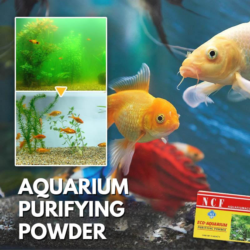 BowLift | Aquarium Cleaning Powder