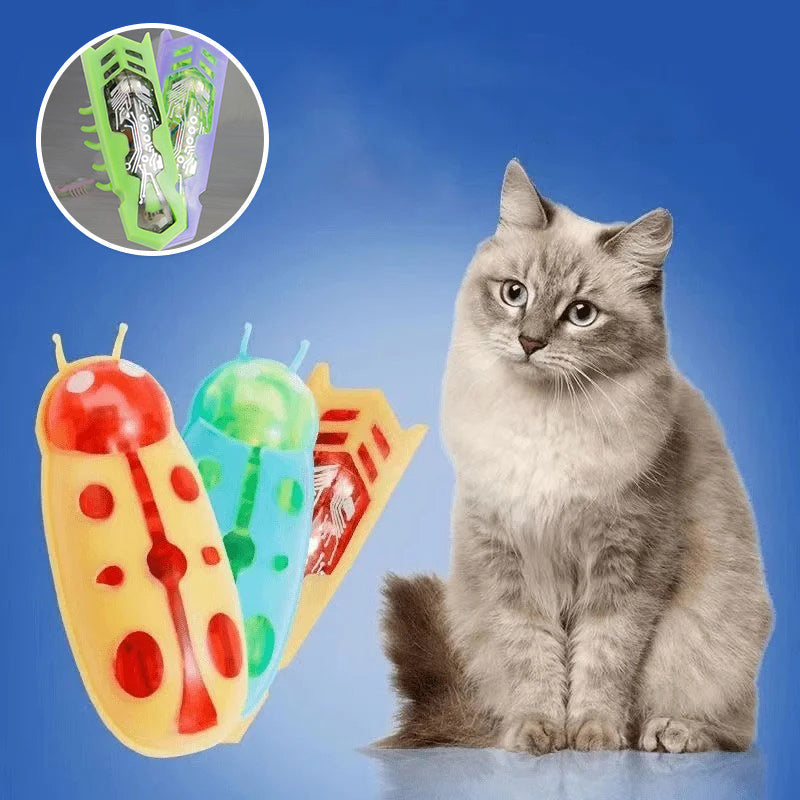 BowLift | Pet Electric Insect Toy