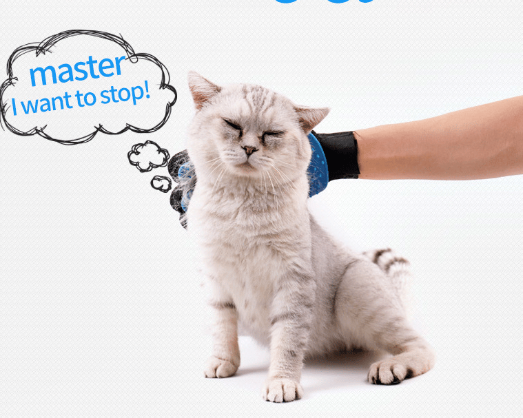 BowLift | Cat grooming glove for cats wool glove Pet Hair Deshedding Brush Comb Glove For Pet Dog Cleaning Massage Glove For Animal Sale