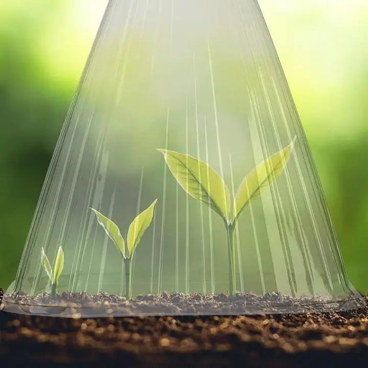 BowLift | 20 pieces plant pRedection caps for seedlings, vegetables & flowers