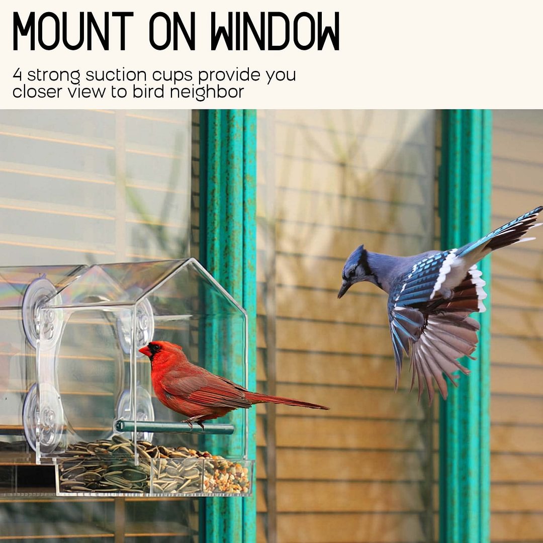 BowLift | Bird feeder in the window for outdoor use
