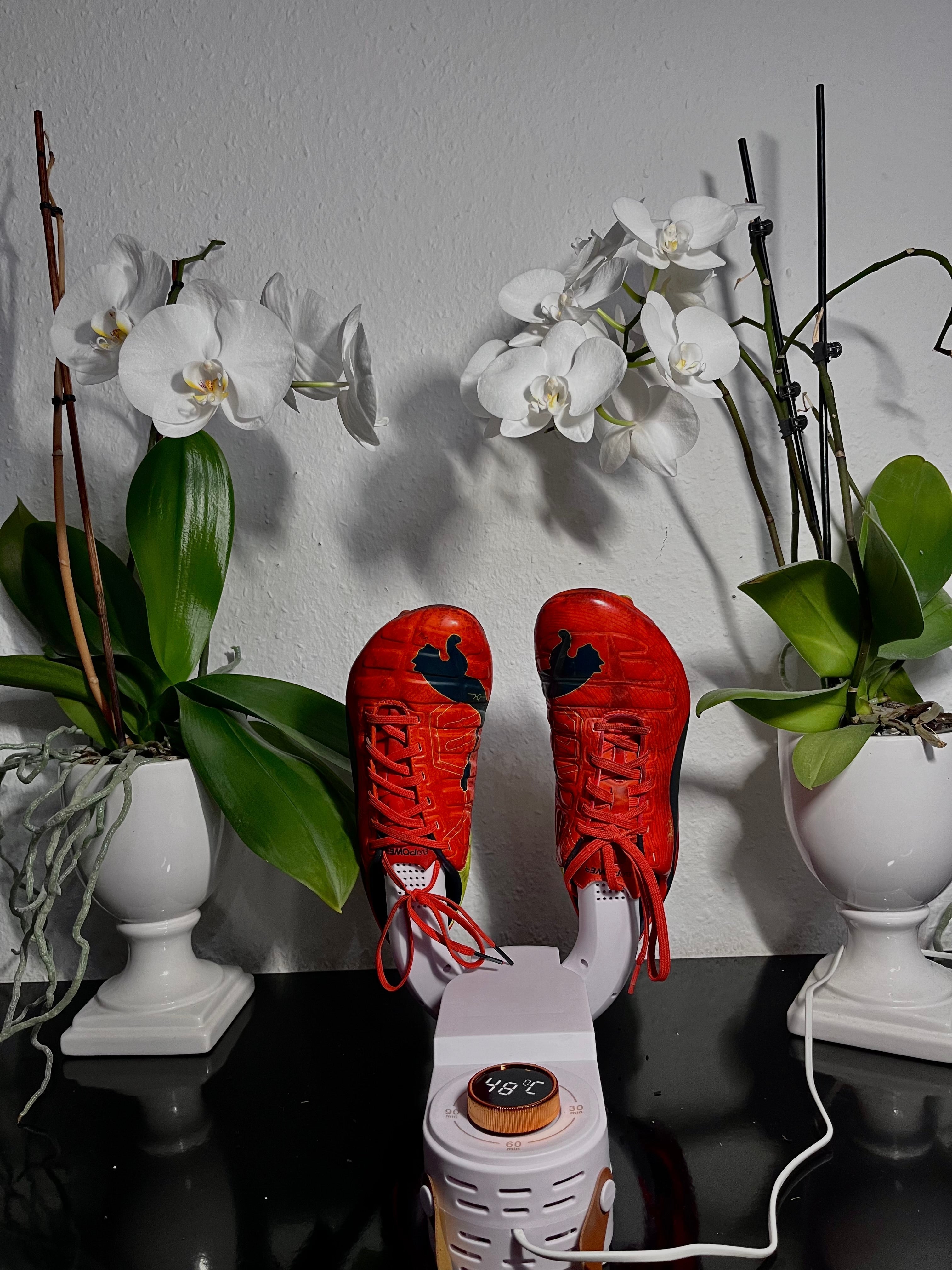 BowLift | DryKick Hygienic Shoe Solution