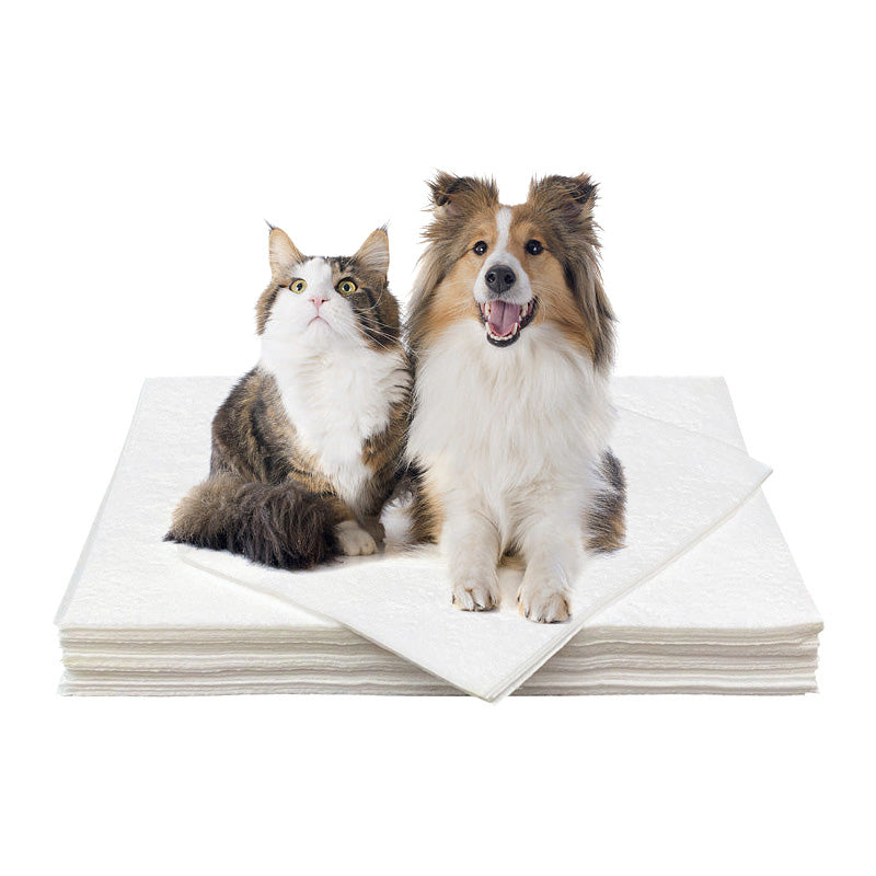 BowLift | Pet Absorbent Paper (50 pieces)