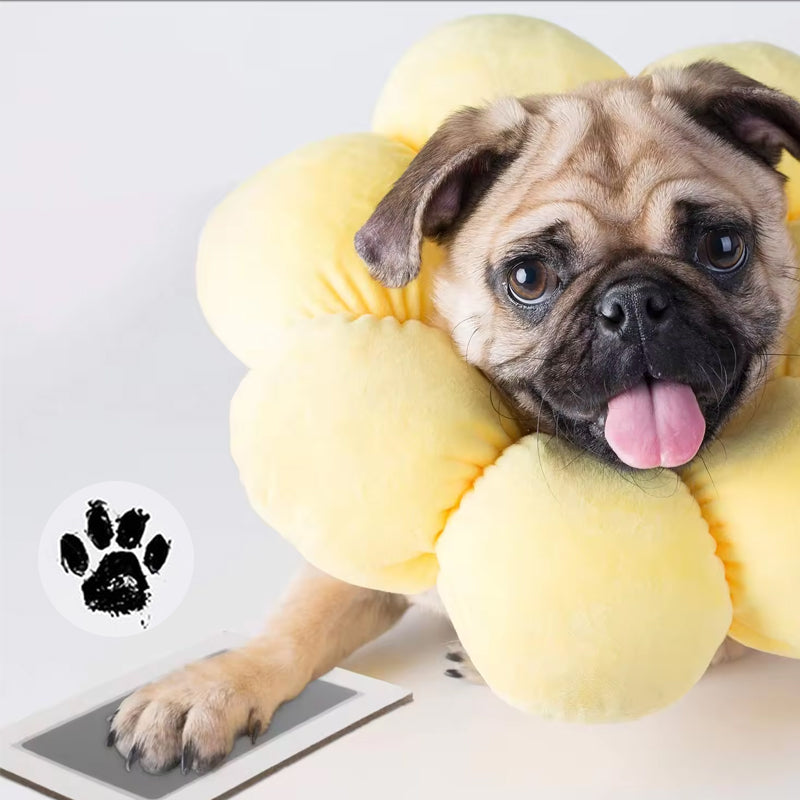 BowLift | Pet Paw Printing Kit