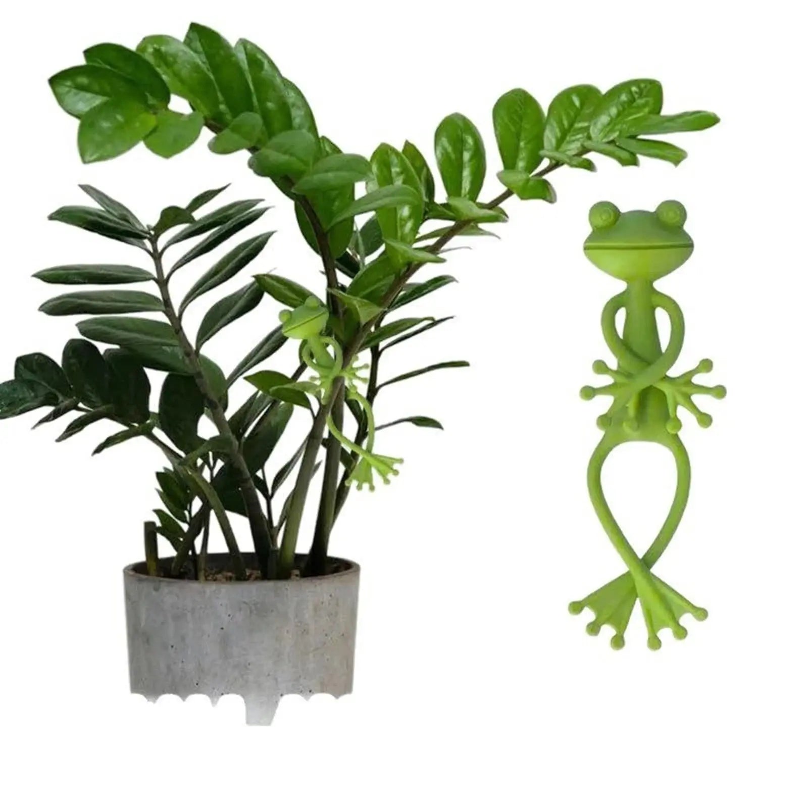 BowLift | 2-piece set plant holders in frog shape – for small pots & succulents!