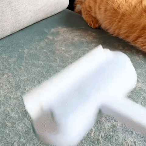 BowLift | 3-in-1 Pet Hair Remover - PetClean Pro