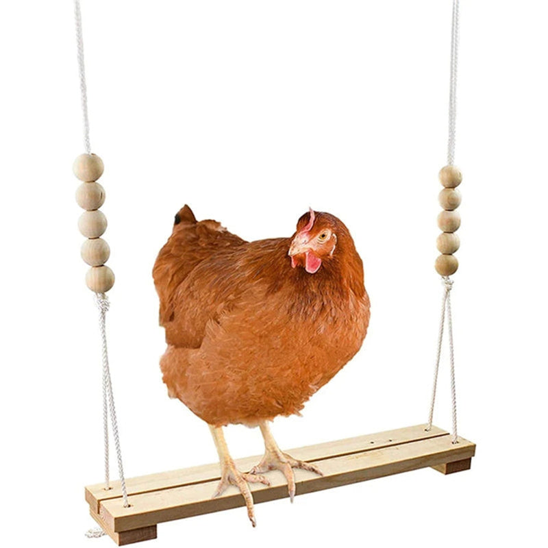 BowLift | Chicken Swing Toy