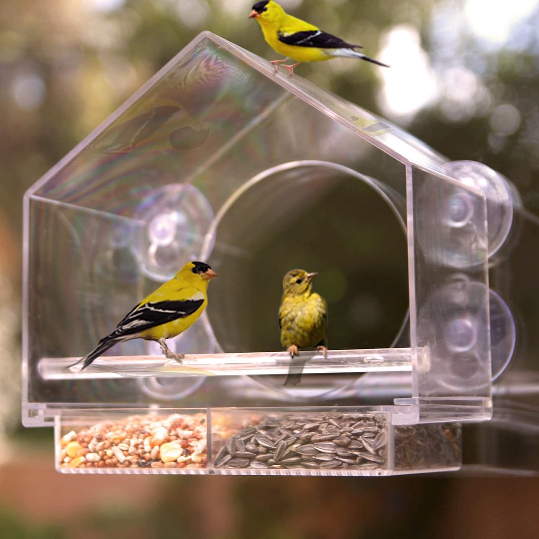 BowLift | Bird feeder in the window for outdoor use