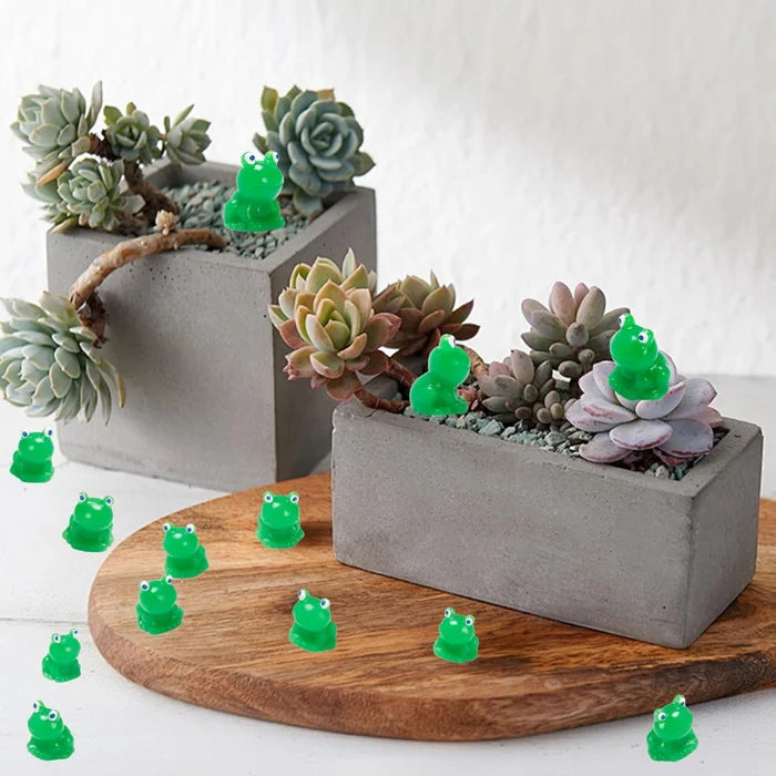 BowLift | Hide the little frog challenge toy