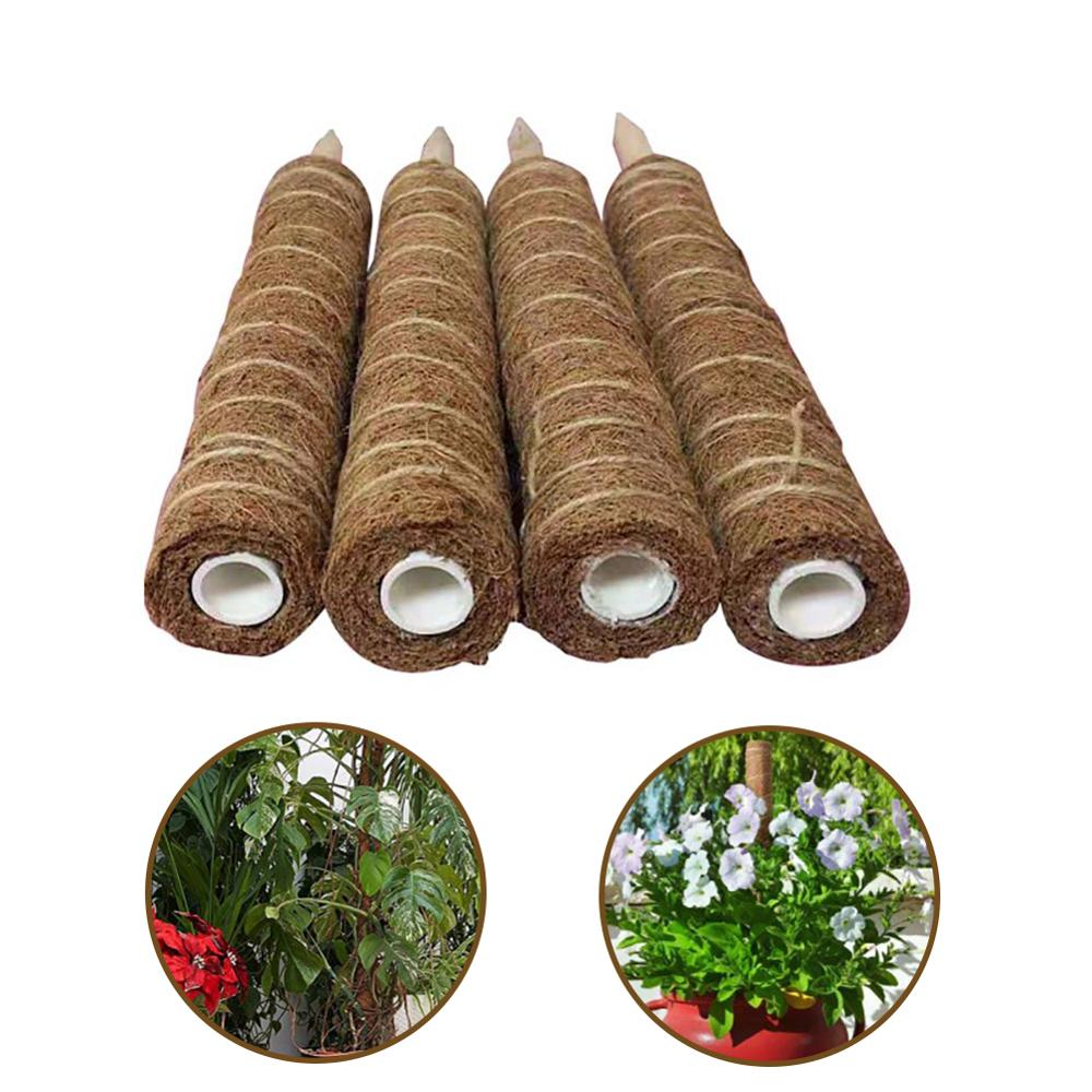 BowLift | Coconut moss stick for climbing plants – Natural climbing aid for houseplants and garden